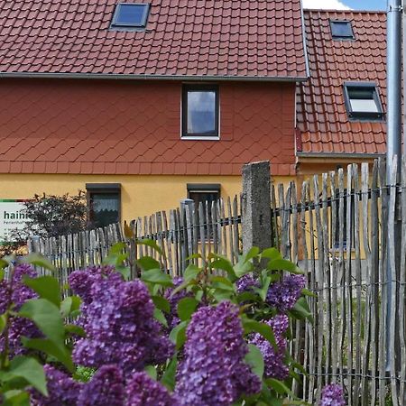 Hainich-Zeit Rodeberg Bagian luar foto