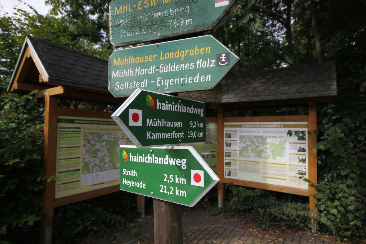 Hainich-Zeit Rodeberg Bagian luar foto