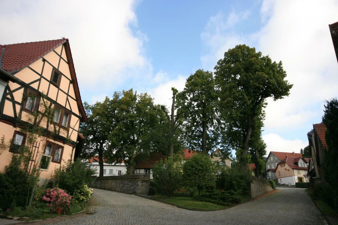 Hainich-Zeit Rodeberg Bagian luar foto