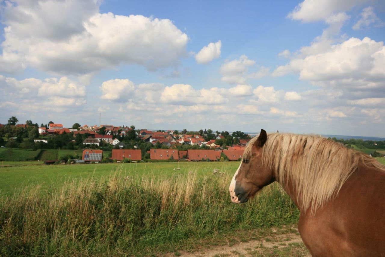 Hainich-Zeit Rodeberg Bagian luar foto